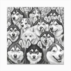 Husky Dogs Art Canvas Print