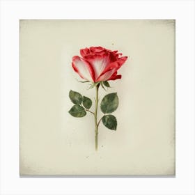 Red Rose 4 Canvas Print