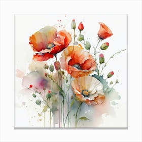 Poppies Watercolor Canvas Print