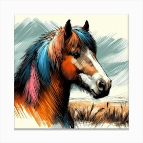 Pony Head Creative Color Sketch Drawing 1 Canvas Print