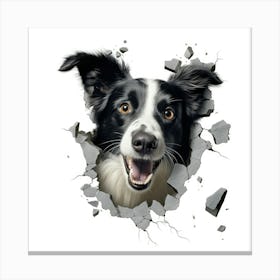 Border Collie 1 Canvas Print