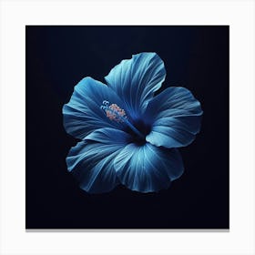 Blue Hibiscus Flower Canvas Print