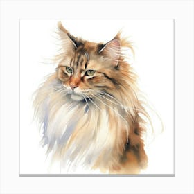Cymric Longhair Manx Cat Portrait 1 Canvas Print