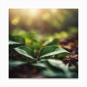 Green Leaf In The Forest 5 Canvas Print