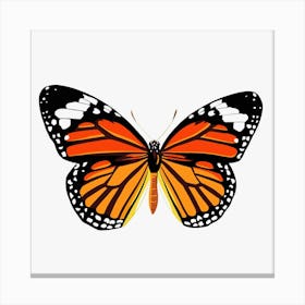 Butterfly Orange Canvas Print