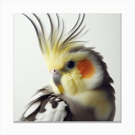 Cockatiels 2 Canvas Print