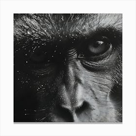 Monkey Closeup Stippling Style Canvas Print