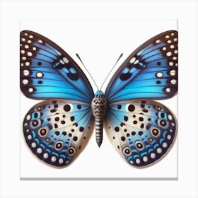 Butterfly of Neolycaena argali 1 Canvas Print
