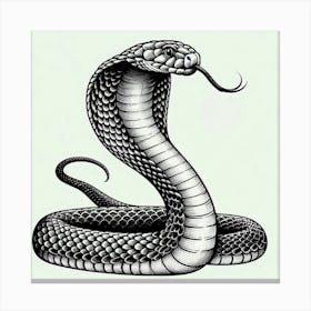 Line Art cobra Canvas Print