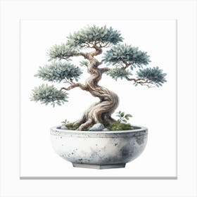 Bonsai 1 Canvas Print