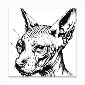 Sphynx Cat 1 Canvas Print