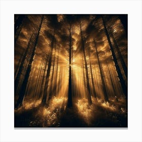 Forest Of Light 2 Canvas Print