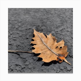 Fallen Oak Leaf Canvas Print