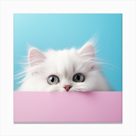 White Persian Cat Peeking Out Of A Pink Box Canvas Print