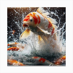 Koi Fish Jumping Canvas Print