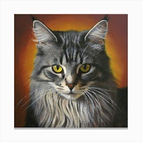 Coon Cat Canvas Print