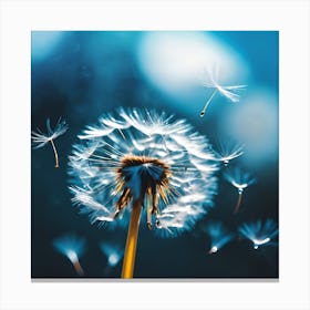 Floating White Dandelion Seeds in the Blue Light  Canvas Print