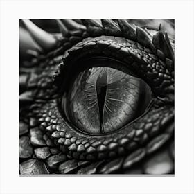 Macro Shot Of A Dragons Eye Scales Rich With Grey And Blue Tones In A Closeup Black And White Noi Canvas Print