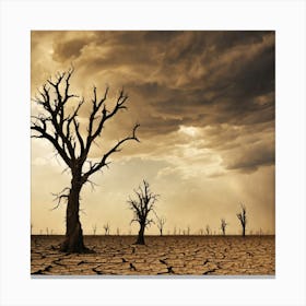 Dead Trees In The Desert Canvas Print