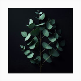 Eucalyptus Leaves On Black Background Canvas Print