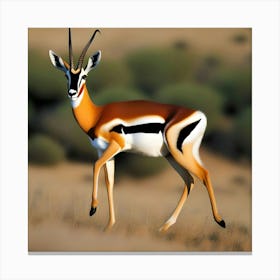 AFRICAN SPRINGBOK Canvas Print