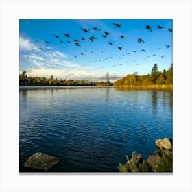 Geese Flying Over Lake 2 Canvas Print