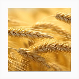 Golden Wheat 3 Canvas Print