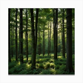 Ferns In The Forest 2 Canvas Print