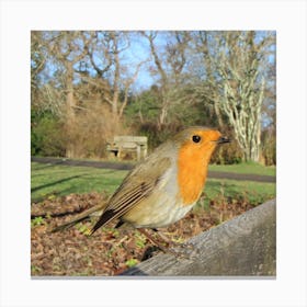 The Robin Canvas Print