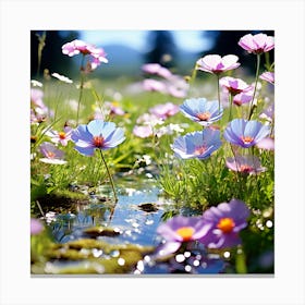 Cosmos Flowers Canvas Print