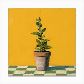 Potted Plant Yellow Background Canvas Print