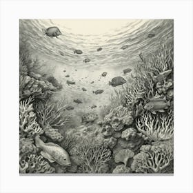 Coral Reef 3 Canvas Print