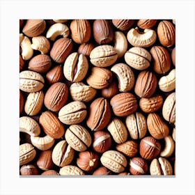Nuts - Close Up Canvas Print