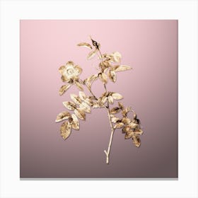 Gold Botanical Pink Alpine Rose on Rose Quartz n.3273 Canvas Print