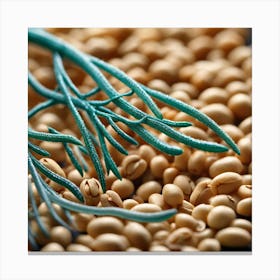 Savoy Beans Canvas Print