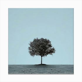 Lone Tree 11 Canvas Print