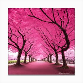 Pink Cherry Blossoms 2 Canvas Print