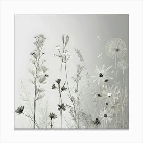 Wildflowers 2 Canvas Print