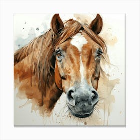 Horse Portrait 3 Canvas Print