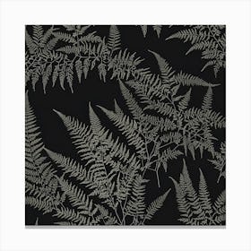 Ferns 18 Canvas Print