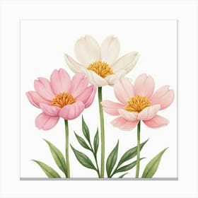 Watercolor Peonies Blooming In Soft Pastel Colors Canvas Print