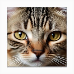 Close Up Of A Cat Face Canvas Print