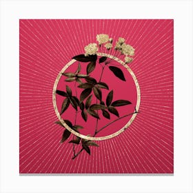 Gold Lady Bank's Rose Glitter Ring Botanical Art on Viva Magenta n.0275 Canvas Print