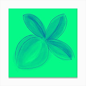 Lemon Green Bright 2 Canvas Print