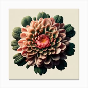 Chrysanthemum 2 Canvas Print