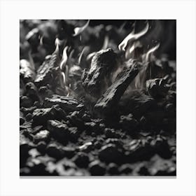 Black Coal Burning In A Fireplace Canvas Print