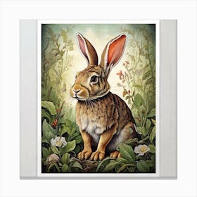 Rabbit In The Woods Canvas Print