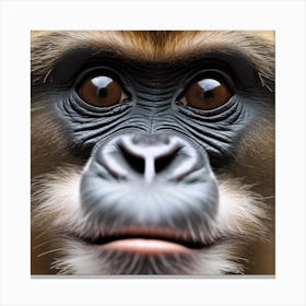 Monkey Face Canvas Print