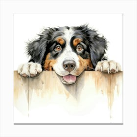 Bernese Mountain Dog 3 Canvas Print