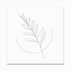 Line Drawing Of A Leaf 1 Canvas Print